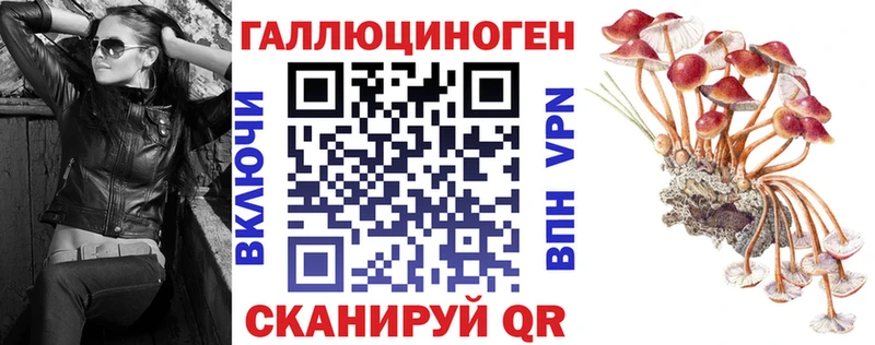 Купить  Злынка  Галлюциногенные грибы Cubensis 